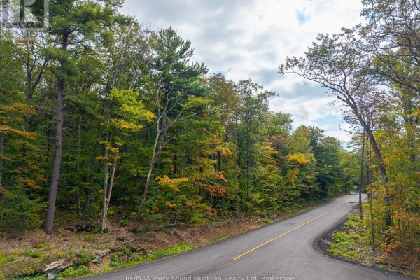 View down a paved road winding through a dense forest with autumn foliage. - 15 Oakridge Road N, Mcdougall