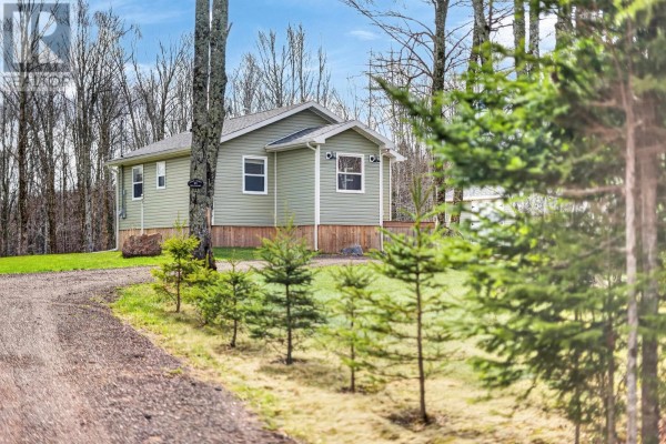 Front exterior view of a light green vinyl-sided home with wood skirting and a detached shed. - 15 Silver Tree Lane, Grahams Road