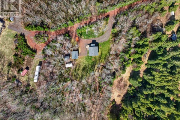 Overhead aerial view of a property with a light green home, sheds, and mature trees. - 15 Silver Tree Lane, Grahams Road