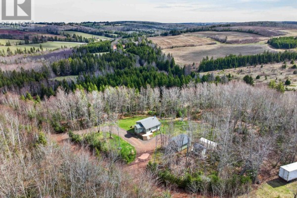 Aerial view of a light green home nestled amongst trees, with rolling fields in the distance. - 15 Silver Tree Lane, Grahams Road
