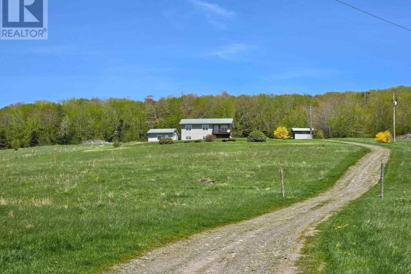 A light-colored house and two outbuildings sit on a grassy hill against a backdrop of dense green forest. - 150 336 Highway, Newton Mills
