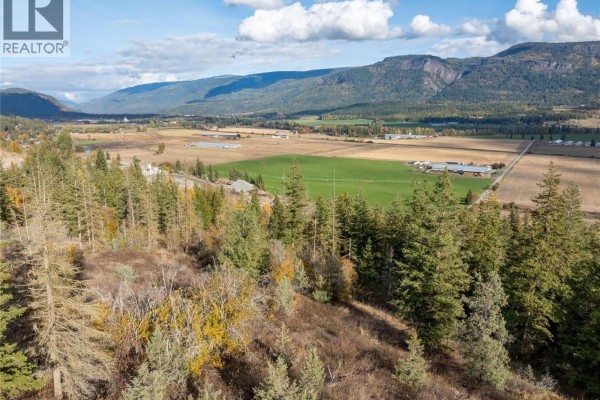 150 Crossridge Road Lot# Pl 1, Enderby, BC V0E1V3 Photo 5