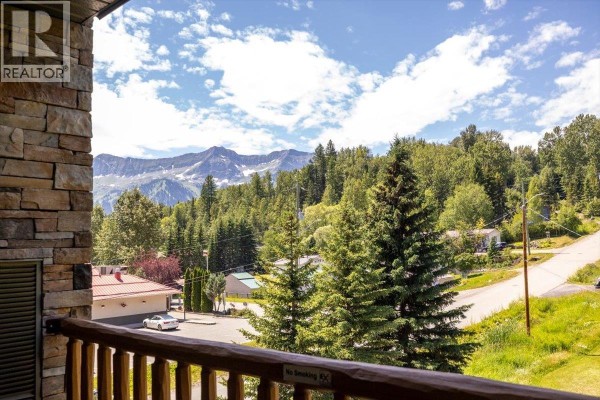 1500 Mcdonald Avenue Unit# 302, Fernie, BC, photo 3