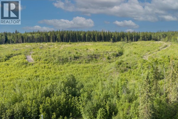 1502 Hobson Road, Vanderhoof, BC V0J3A0 Photo 5