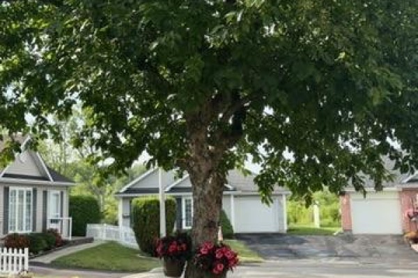1505 Frank Court, Cornwall, ON K6H7N7 Photo 3