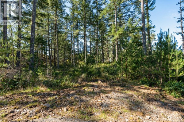 1515 Nighthawk Lane, Sooke, BC V9Z1M9 Photo 4