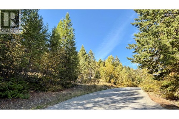 1515 Schulli Road, Christina Lake, BC V0H1E0 Photo 3