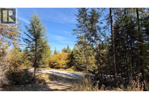 1515 Schulli Road, Christina Lake, BC V0H1E0 Photo 5