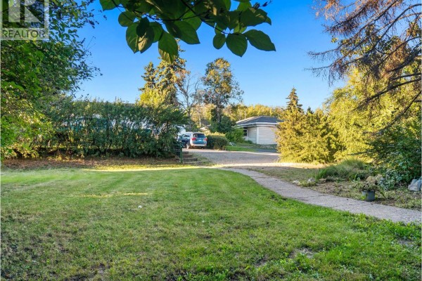 Kitchen - 1517 94 Avenue, Dawson Creek, BC V1G1H2 Photo 4