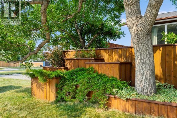 Tiered wooden planter boxes with green shrubs and a large tree trunk in the front yard. - 152 Templewood Road Ne, Calgary