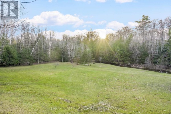 Grassy yard with trees and creek - 1520 Rosemount Road Tay