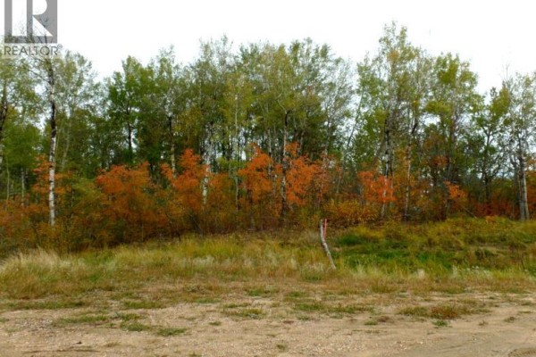 1520018 - 1 - 1 Poplar Point, Rural Lac La Biche County, AB, photo 2