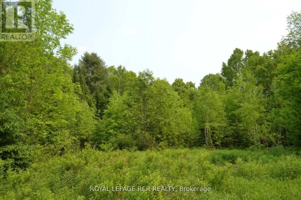 1527 Madill Road, Highlands East, ON, photo 2