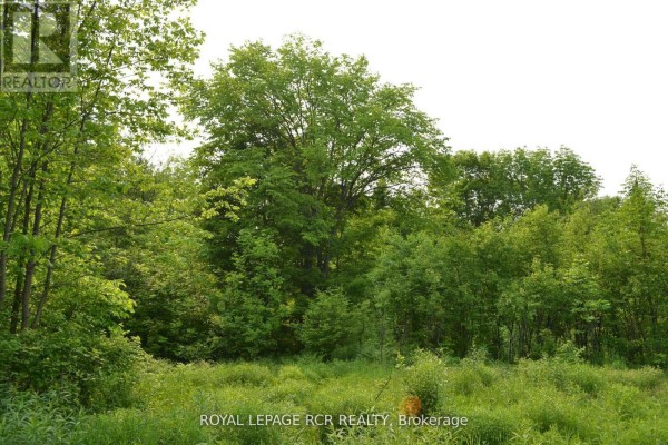 1527 Madill Road, Highlands East, ON, photo 3