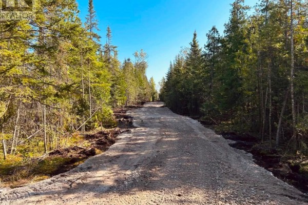 153 Bradley Drive, Northern Bruce Peninsula, ON N0H1Z0 Photo 2