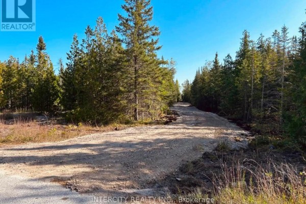 153 Bradley Drive, Northern Bruce Peninsula, ON N0H1Z0 Photo 3