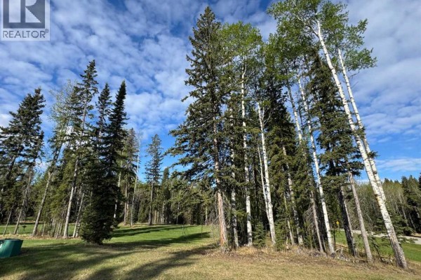 153 Meadow Ponds Drive, Rural Clearwater County, AB T4T1A7 Photo 3