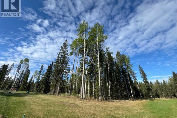 153 Meadow Ponds Drive, Rural Clearwater County, AB T4T1A7 Photo 4