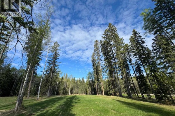 153 Meadow Ponds Drive, Rural Clearwater County, AB T4T1A7 Photo 5