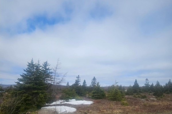 153 Seymours Road, Spaniards Bay, NL A0A3X0 Photo 4