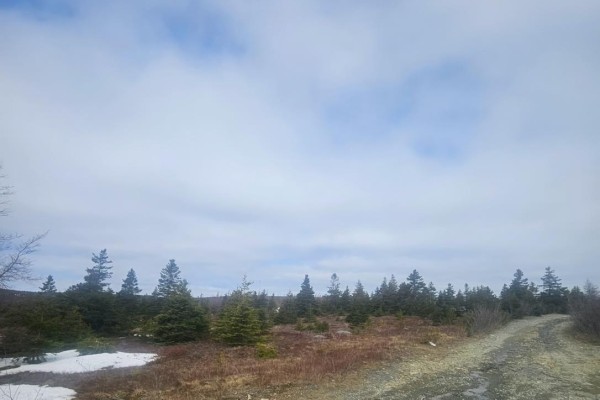 153 Seymours Road, Spaniards Bay, NL A0A3X0 Photo 5