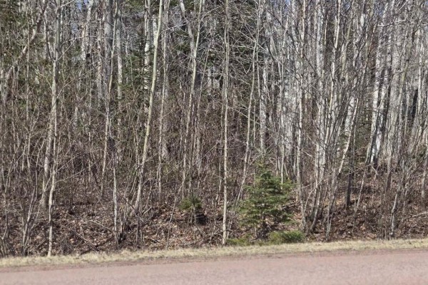 153 Taylors Road, Pomquet, NS B2G2L4 Photo 4