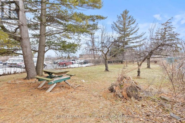 Backyard area with picnic table, trees, and open space, adjacent to the parking lot. - 1530 Niagara Stone Road, Niagara On The Lake