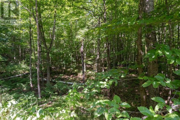 1531 Myers Cave Road, Frontenac, ON K0H1B0 Photo 4