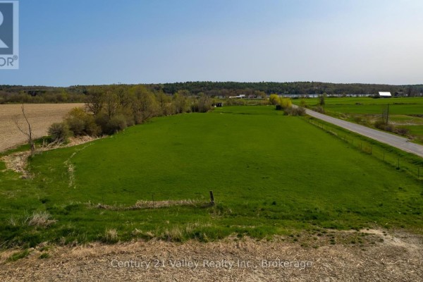154 Cornerview Road, Whitewater Region, ON K0J1K0 Photo 4