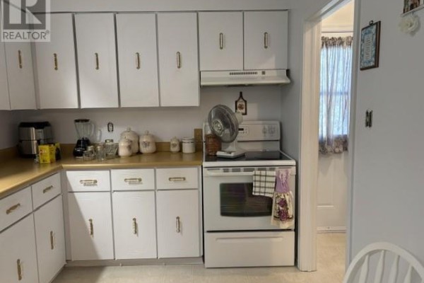 Recreation room - 154 Harvey Street, Harbour Grace, NL A0A2M0 Photo 5