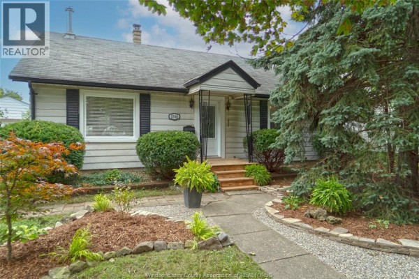 Walkway leading to the front door of the bungalow, flanked by green shrubs and decorative stone beds. - 1546 California Avenue, Windsor