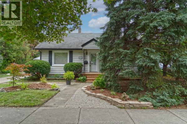 Front of the bungalow showcasing the siding, windows, entrance, and mature evergreen trees on the right. - 1546 California Avenue, Windsor
