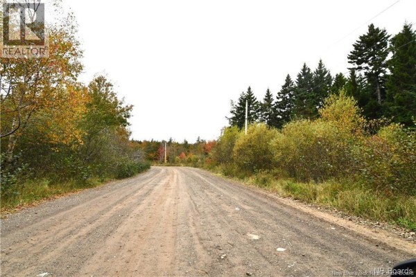 155 Hutchins Heights Road, Welshpool, NB E5E1H2 Photo 5
