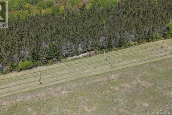155 Rang 16 Tier Sud Road, Saint Quentin, NB E8A2H6 Photo 4
