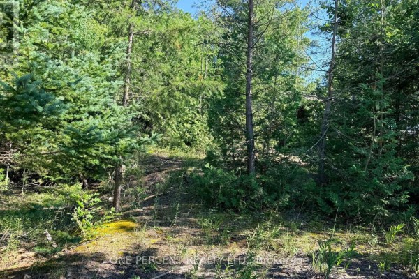 1554 Shore Lane, Wasaga Beach, ON, photo 3