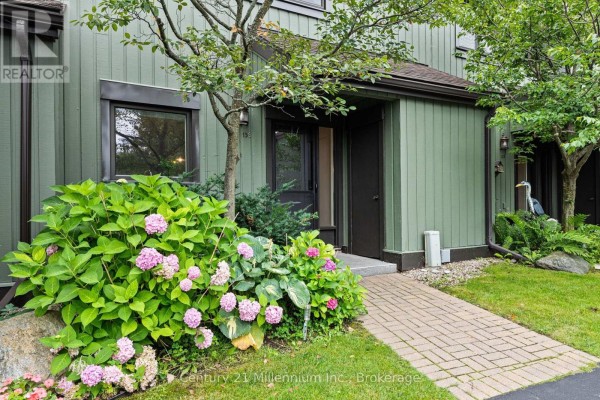 Other - 156 Escarpment Crescent, Collingwood, ON L9Y5B4 Photo 2