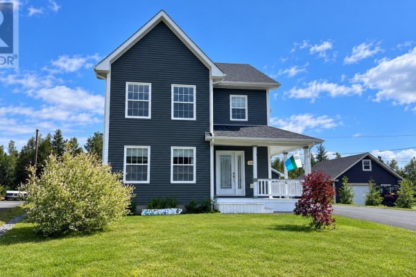 Recreation room - 156 Harmsworth Drive, Grand Falls Windsor, NL A2A2Y8 Photo 2