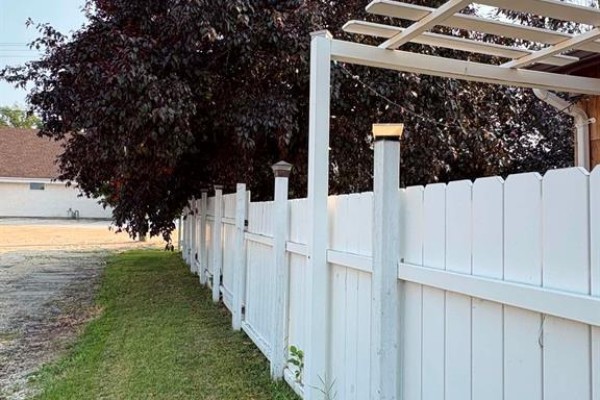 Lush green backyard with manicured lawn, tall evergreen trees, and garden beds. - 156 Railroad Avenue E, Morris