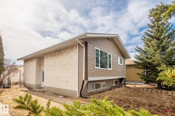Kitchen - 1566 Lakewood Rd W Nw, Edmonton, AB T6K2V9 Photo 3