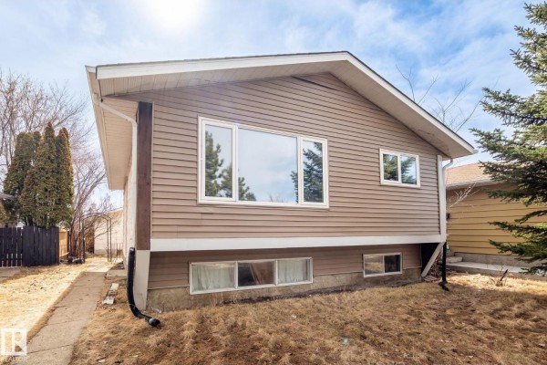Primary Bedroom - 1566 Lakewood Rd W Nw, Edmonton, AB T6K2V9 Photo 4