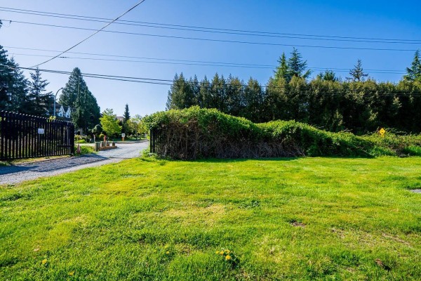 15675 40th Avenue, Surrey, BC V3Z1E6 Photo 3