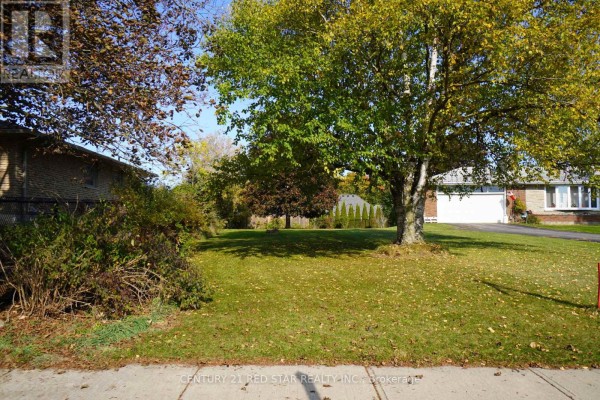 157 Churchill Road S, Halton Hills, ON L7J2H9 Photo 4