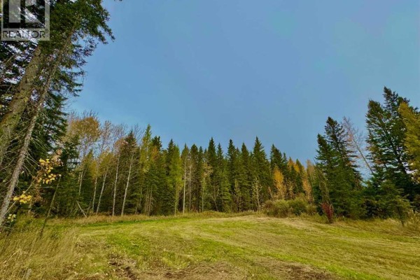 157 Meadow Ponds Drive, Rural Clearwater County, AB, photo 3
