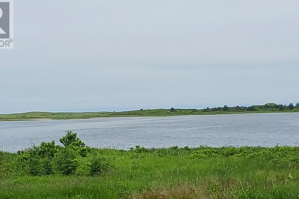 Wide view of a tranquil lake surrounded by green grass and sparse trees under an overcast sky. - 157 Trout Lake Road, West St  Peters