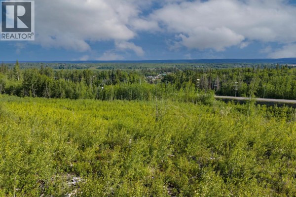 1575 Nechako Avenue, Vanderhoof, BC V0J3A0 Photo 4