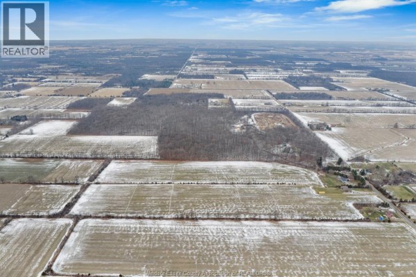 1577 Road 3 West, Kingsville, ON N9Y2E5 Photo 4