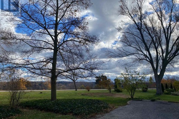 View of bare trees and cloudy sky from property with gravel driveway. - 1581 Line 6 Road, Niagara On The Lake
