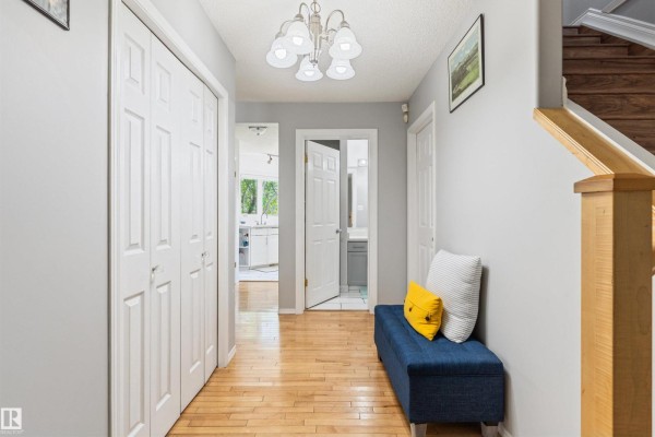 Interior hallway with wood floor, gray walls, white closet doors, and view into kitchen. - 15817 102 Av Nw, Edmonton