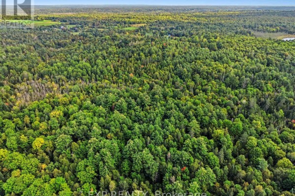 1585 Darling Road, Lanark Highlands, ON K0A1P0 Photo 5