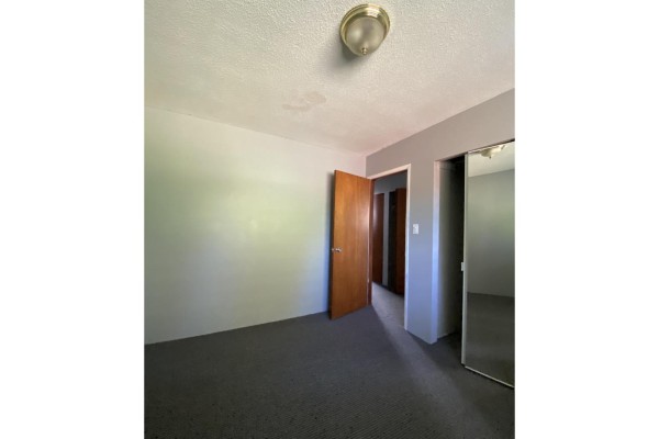 15855 Vine Avenue, White Rock, BC V4B2T5 Photo 5